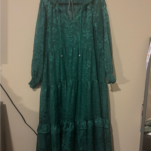 The Marais Maxi Dress: Satin-Burnout Edition Medium Petite - Picture 5 of 10